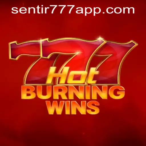 Explorando o Fascinante Mundo do Jogo HotBurningWins